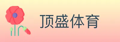 顶盛体育 Logo